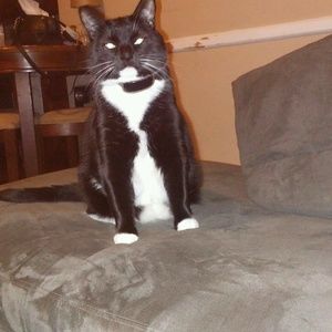 Meet your Posher, Shayla